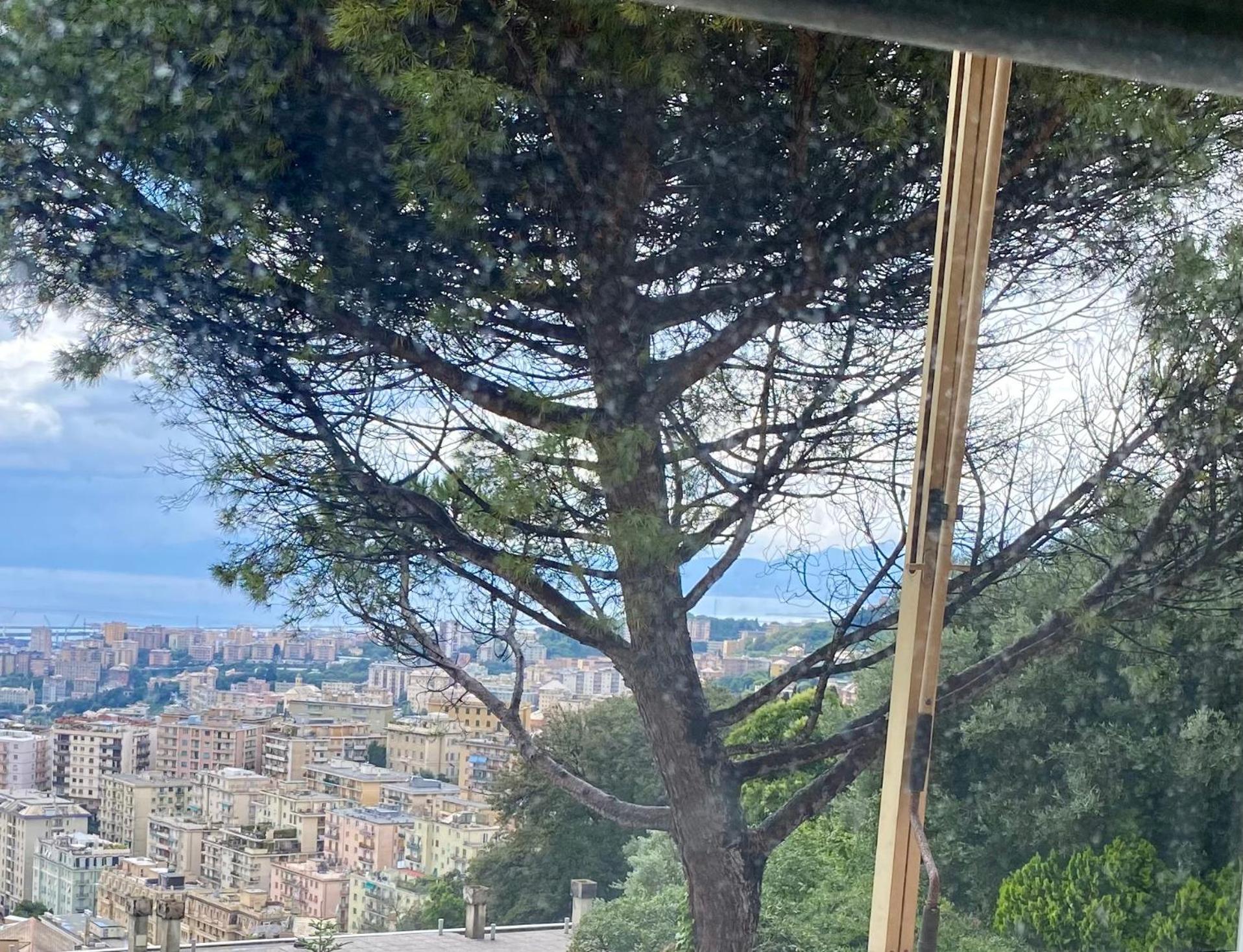 Genoa View & Hiking In Italian Riviera Apartment Exterior foto